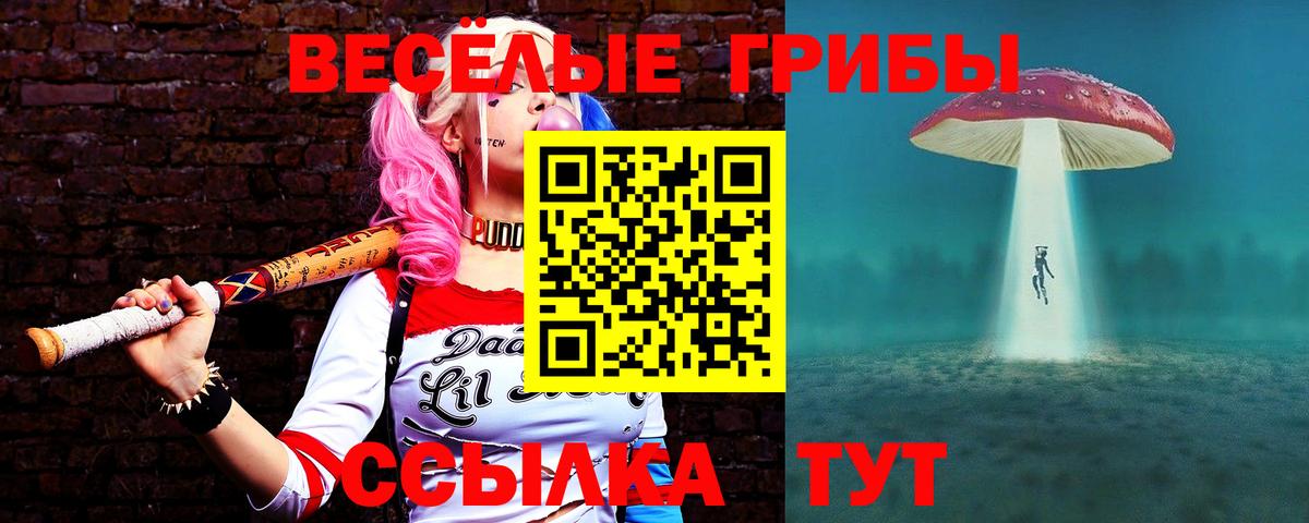 Галлюциногенные грибы Psilocybine cubensis Мелеуз